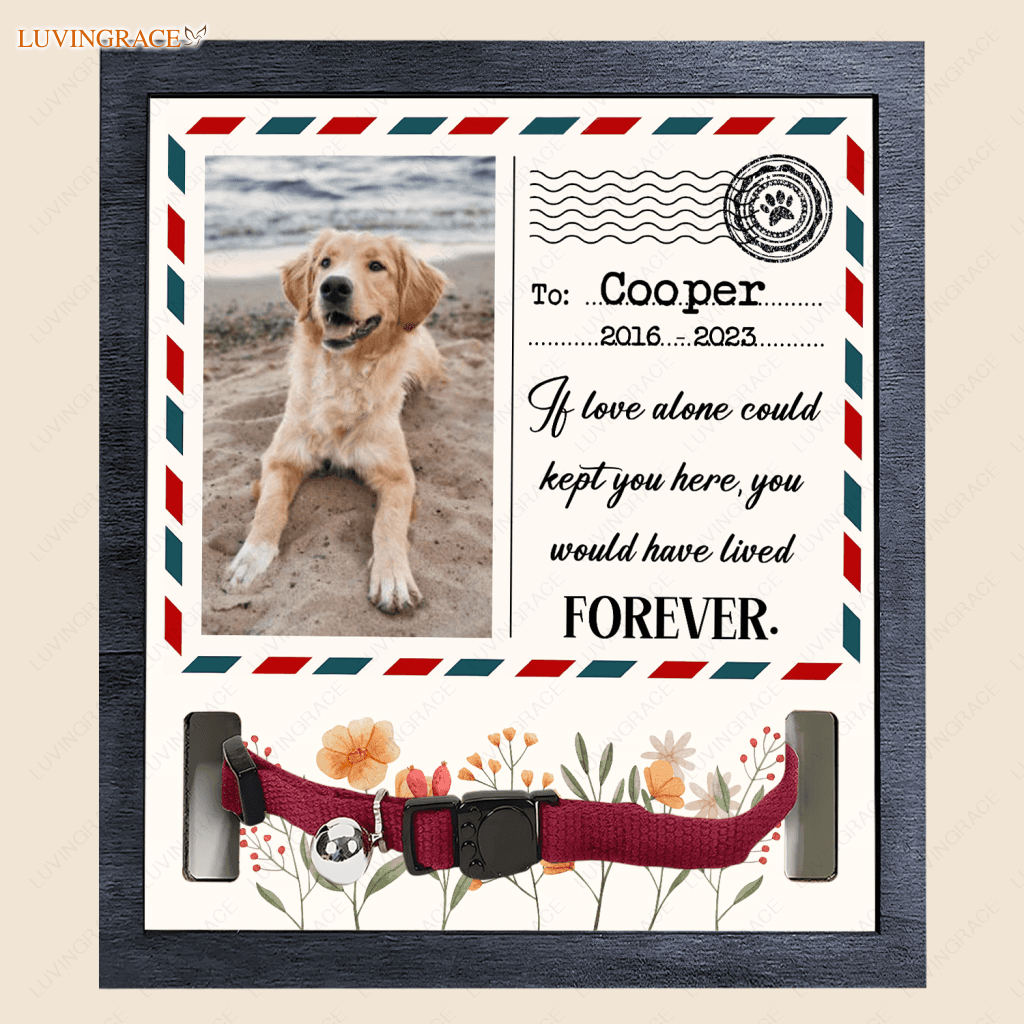 Letter To Pet If Love Could Kept You Here - Personalized Custom Memorial Sign Acrylic Table Plaque